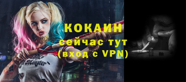 ГАЛЛЮЦИНОГЕННЫЕ ГРИБЫ Белокуриха