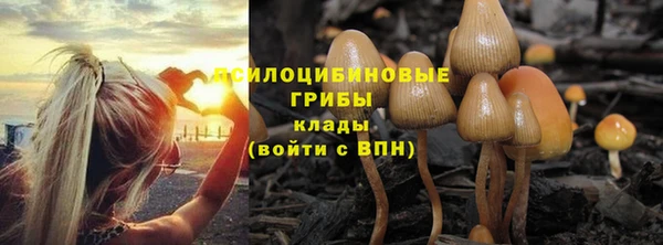 прущая мука Богданович