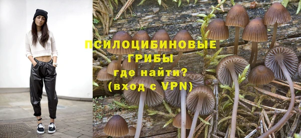 прущая мука Богданович