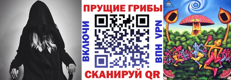 как найти наркотики  Светлогорск  MEGA маркетплейс  Галлюциногенные грибы Psilocybe 