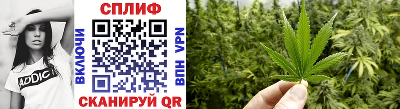 Конопля THC 21%  хочу наркоту  нарко площадка как зайти  Светлогорск 